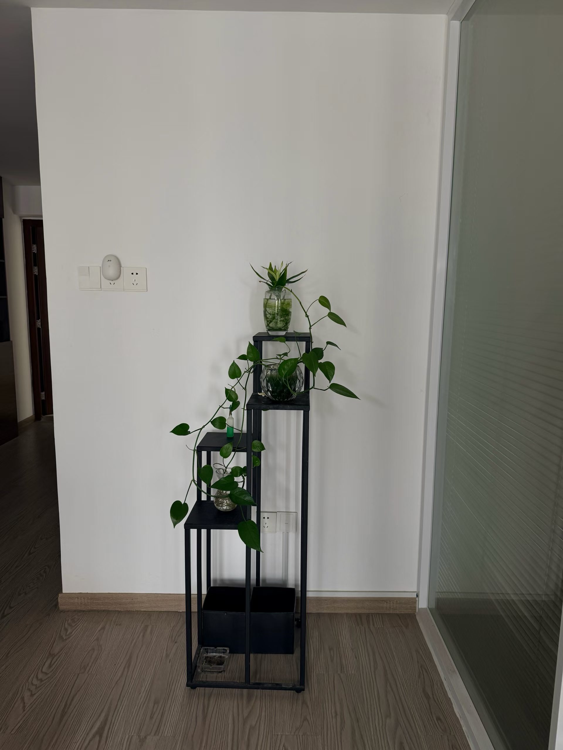 微信图片_2026-06-25_190101_741